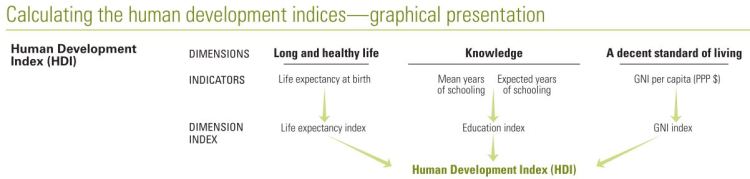 what is the importance of human development index